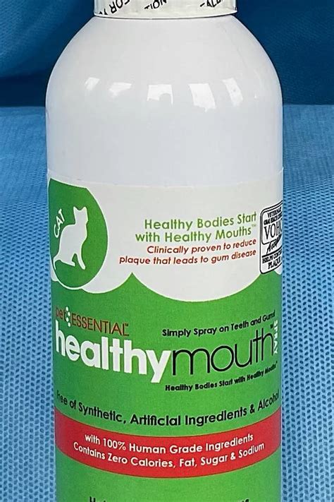 healthymouth topical gel for cats.